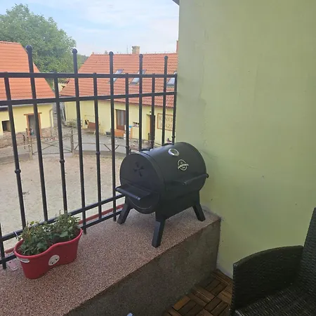 Virivka A Sauna Na Pokoji,nebo Na Vlastni Terase - Farma U Pribrami Pribram