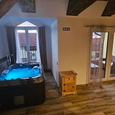 Virivka A Sauna Na Pokoji,nebo Na Vlastni Terase - Farma U Pribrami Appartamento Příbram